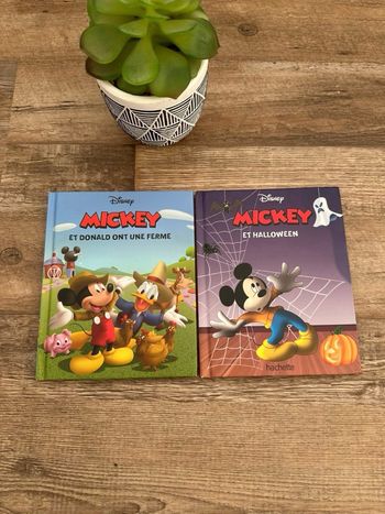 - 2 albums Disney   - Très Bon état