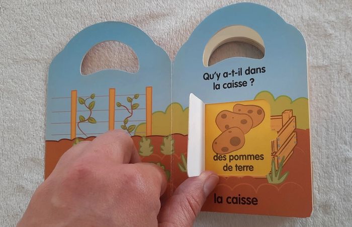 Livre Les Mots avec rabats - photo numéro 5