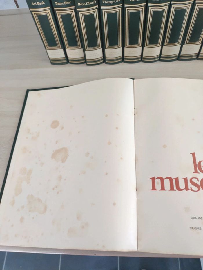 Lot de 15 tomes livres les muses encyclopédie histoire de l'art Grange Batelière - photo numéro 2