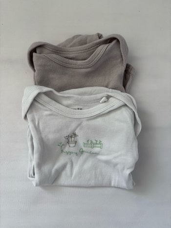 Lot 2 bodies
