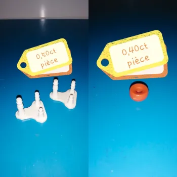 Thème* végétation / champignon & socle