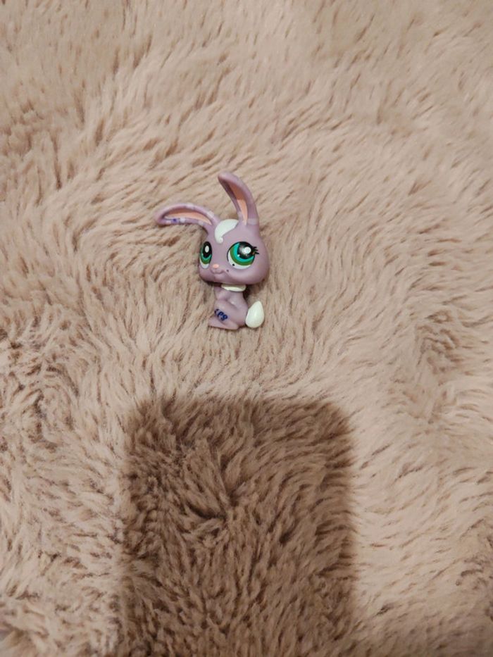 Petshop lapin de garenne 1722