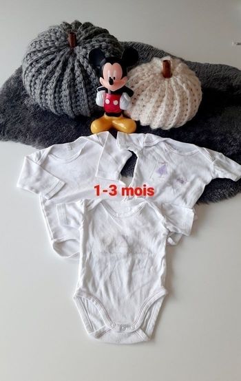 Lots 3 bodies bébé