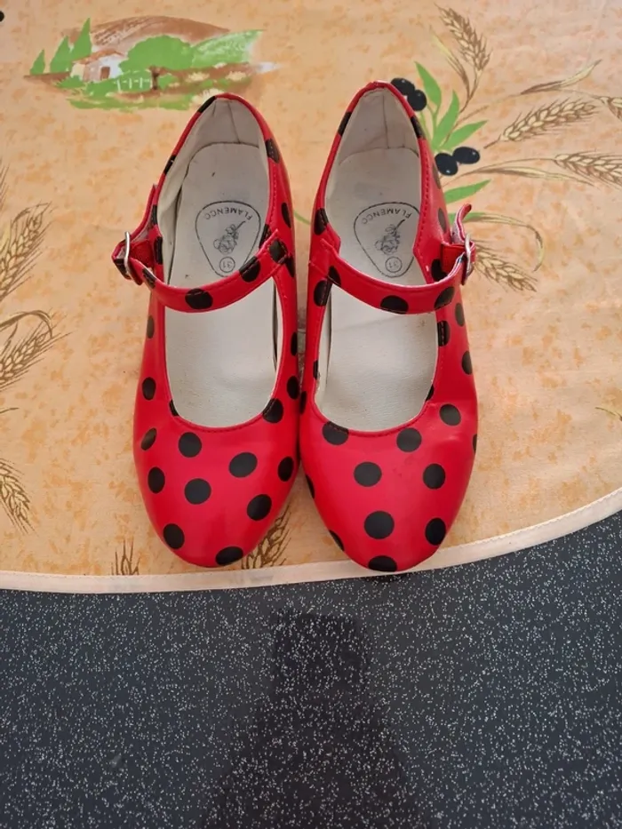 Robe et chaussures flamenco - photo numéro 5