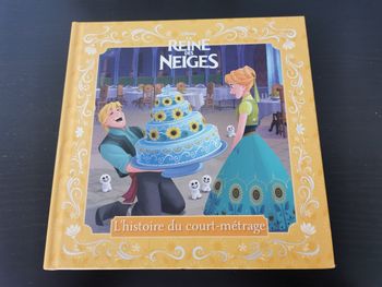 Livre disney la reine des neiges