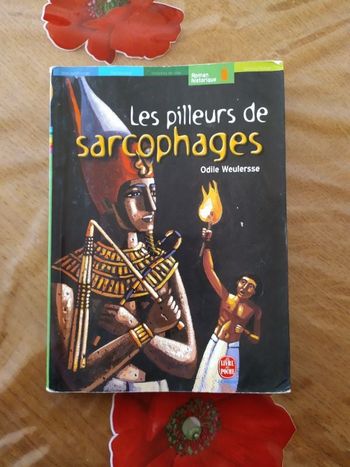 Livre ado "Les pilleurs de sarcophages" d'Odile Weulersse