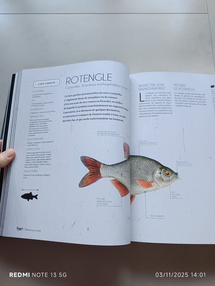 Livre pêche - photo numéro 2