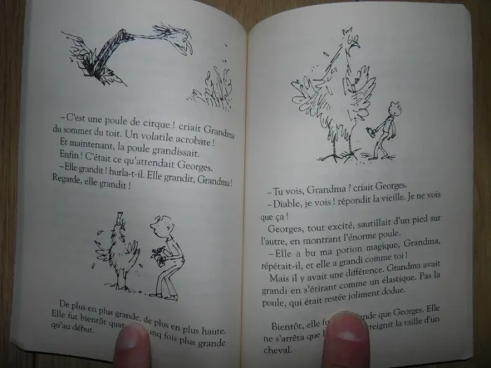 La potion magique de Georges Bouillon (Roald Dahl) TBE - photo numéro 3