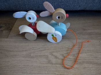 Lapins à promener 
