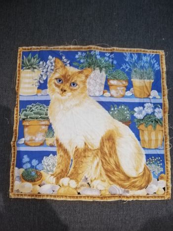 Tissu chat 33cmx33cm