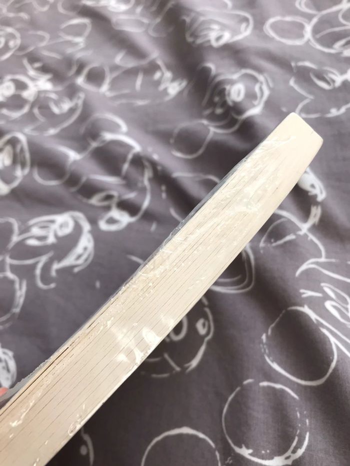 Livre Charly - photo numéro 2