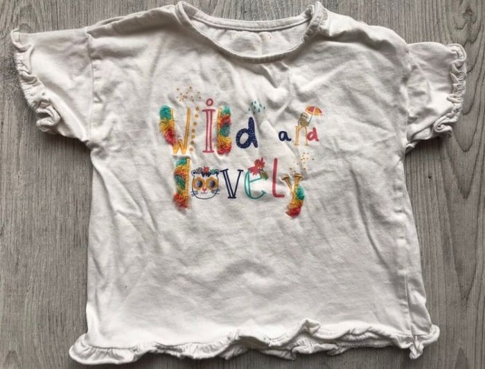 Lot 2 tee shirt 24 mois - photo numéro 2