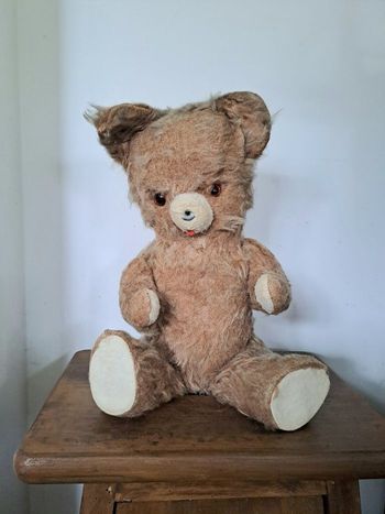 Ours ancien 