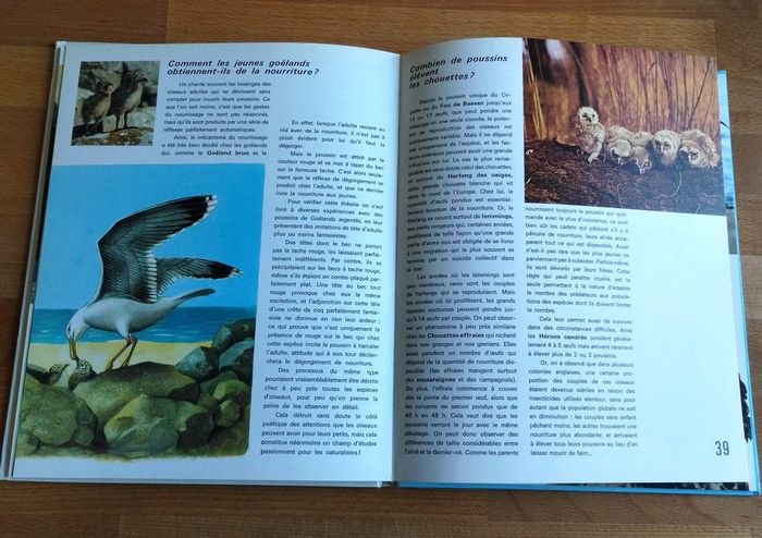 4 livres enfant nature et ses secrets Nathan - photo numéro 10