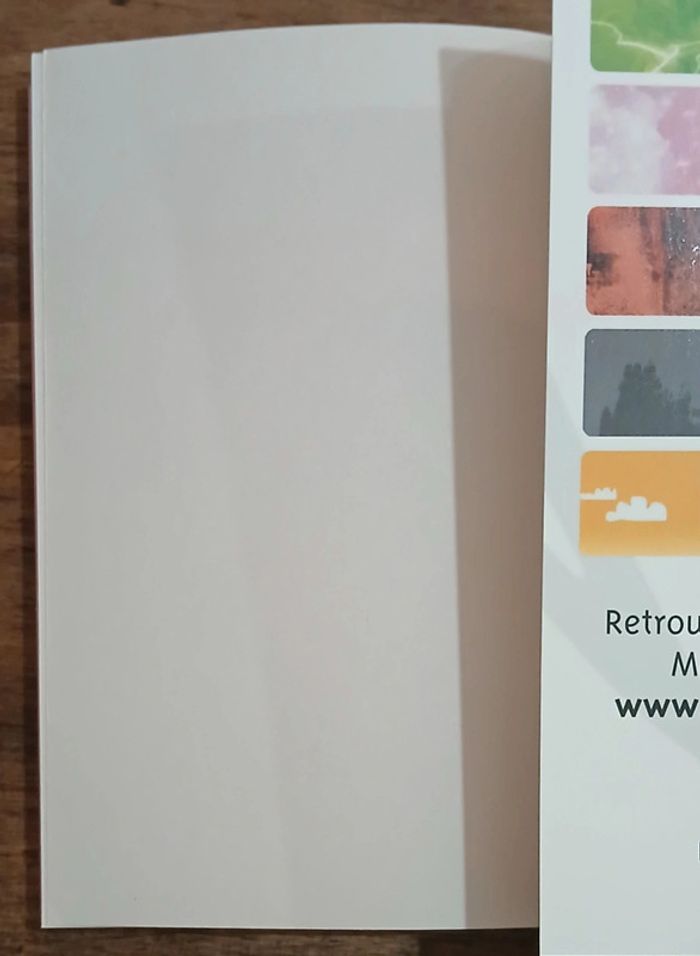 Ranma 1/2 Tome 10 Glénat Français 🇨🇵 - photo numéro 5