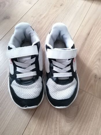 Basket puma