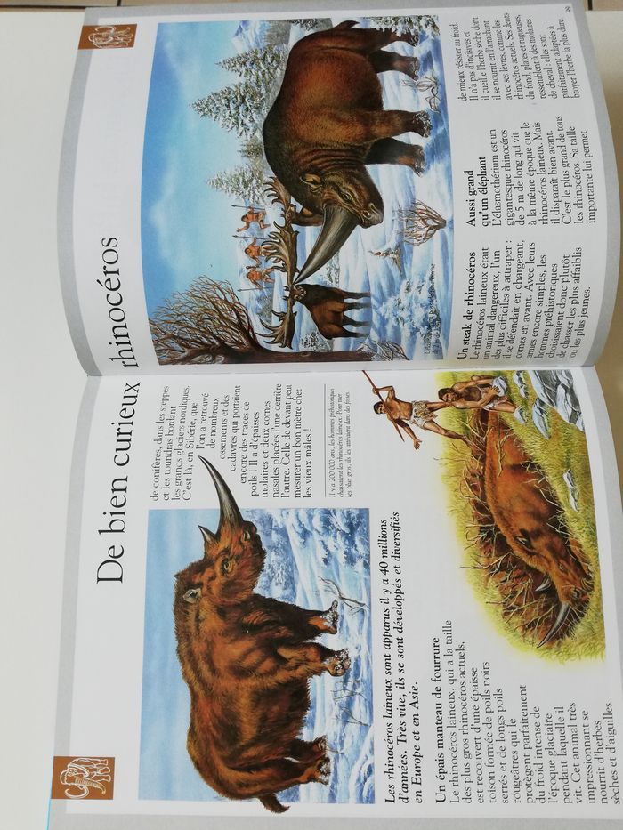 livre imagia dinosaures - photo numéro 6