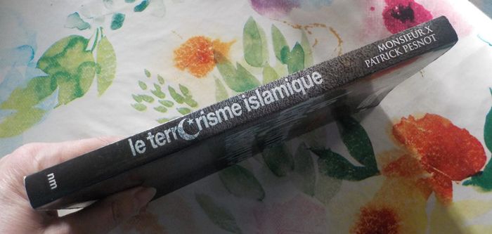 Le terrorisme islamique par Monsieur X et Patrick Pesnot - photo numéro 4