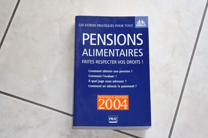 Pensions alimentaires ; faire respecter ces droits - photo numéro 4