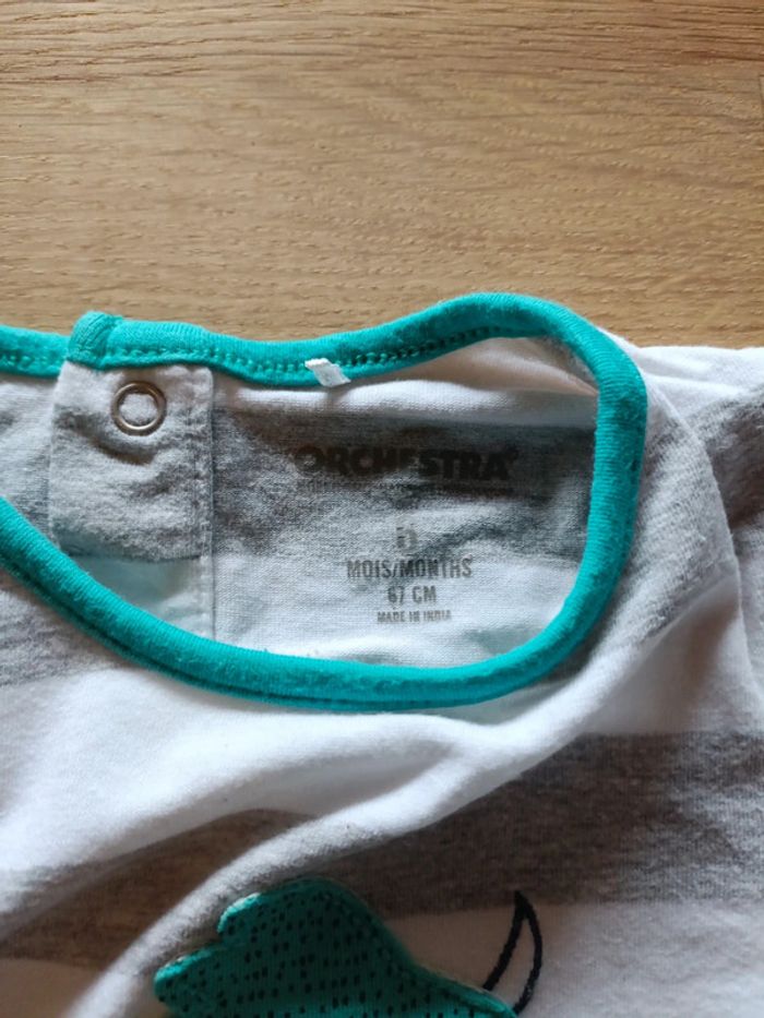 Barboteuse dinosaure - photo numéro 2