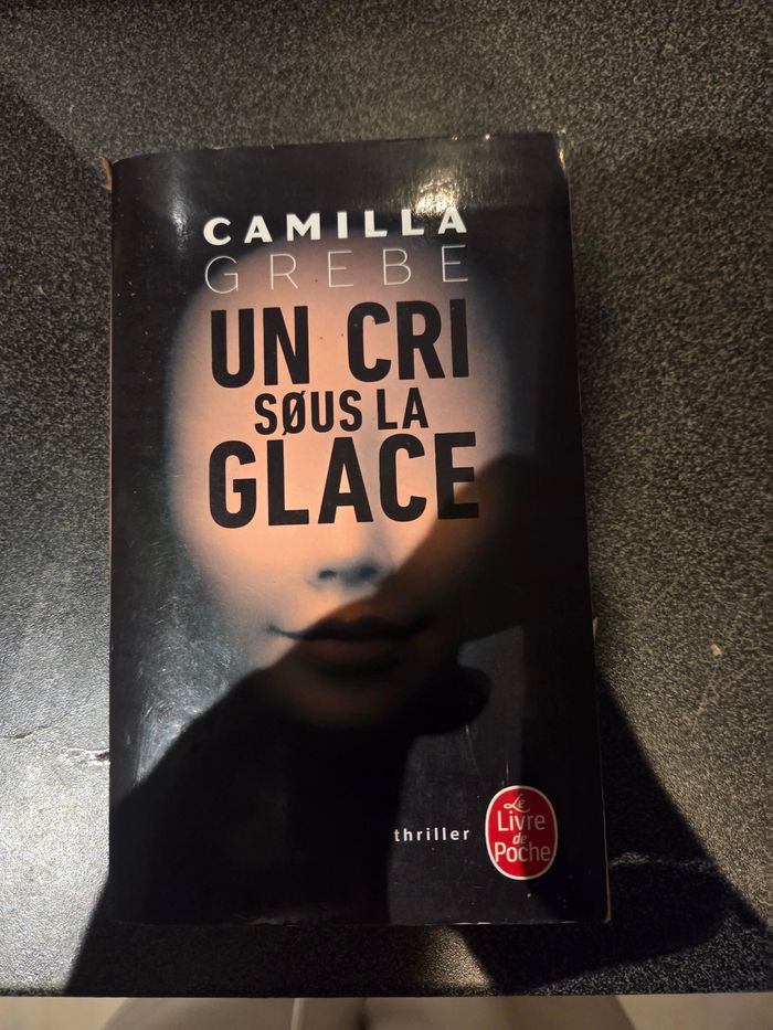 Roman un cri sous la glace