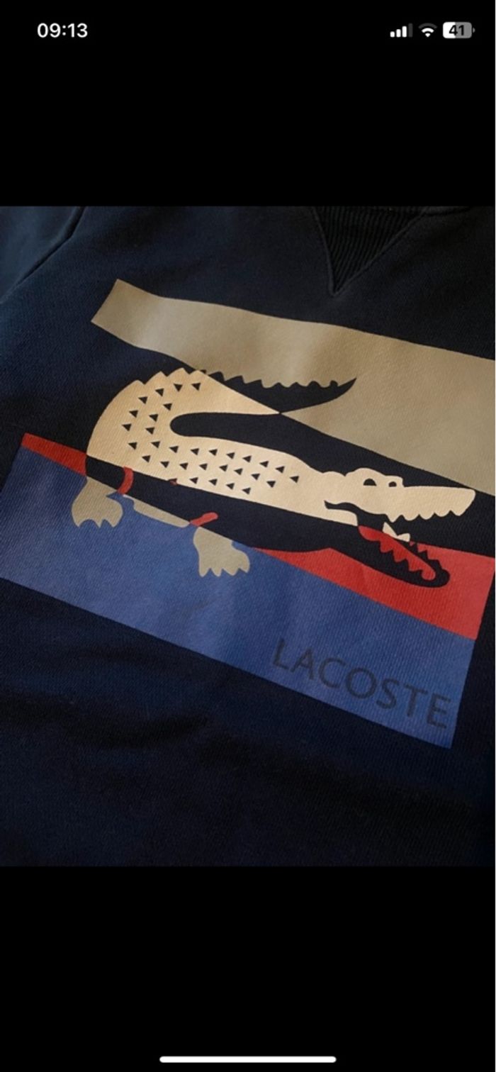 Pull Lacoste - photo numéro 5