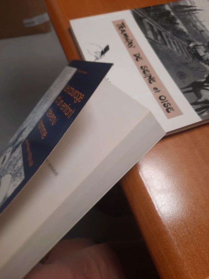 Livre extraordinaire le courage d'un enfant devenu homme - photo numéro 4