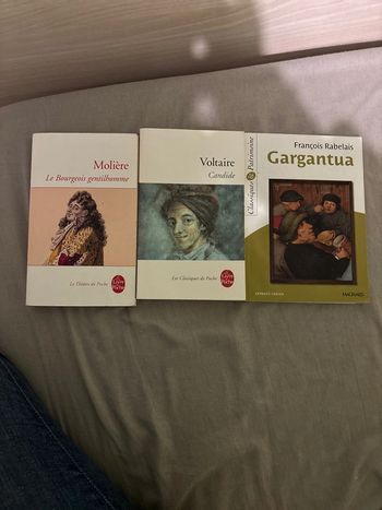 Lot 3 livre gargantua candide