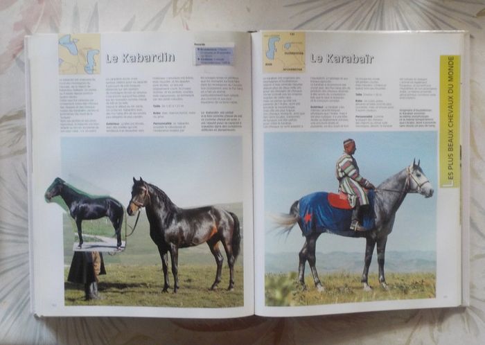 Le grand atlas du cheval Ed. Atlas - photo numéro 11