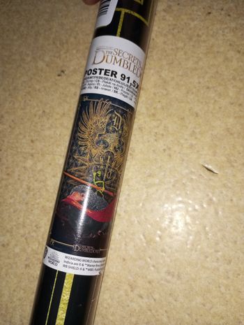 Poster les secrets de Dumbledore