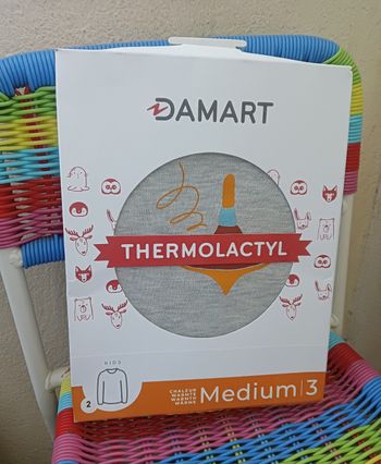 Pull thermolactyl mixte Damart