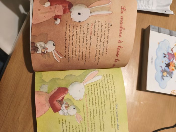 Lot de livres histoire du soir - photo numéro 5