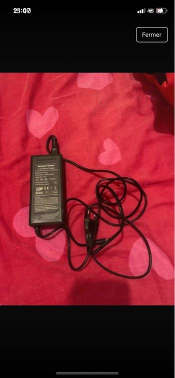 Chargeur de trottinette électrique 