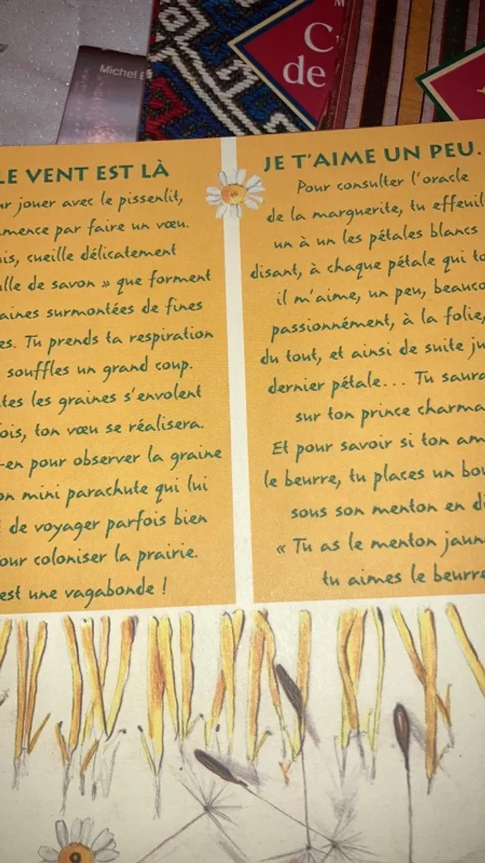 Jardin sauvage - photo numéro 2