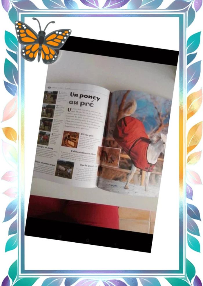 Larousse junior du cheval et du poney - photo numéro 4