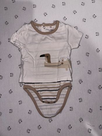 Body manches courtes