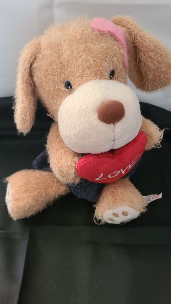 peluche chien coeur love robe accademia