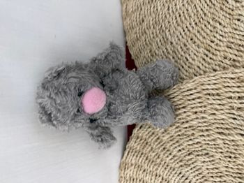 chat boule gris rose anna club doudou peluche