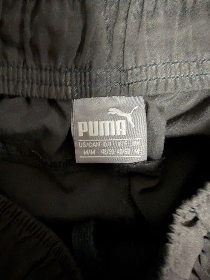 Pantacourt puma - photo numéro 3