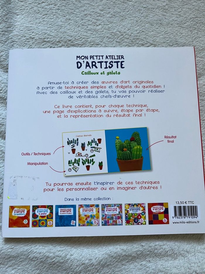 Livre enfants Mon petit atelier d artiste cailloux et galets - photo numéro 3