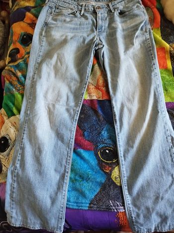 Jean Levi's 