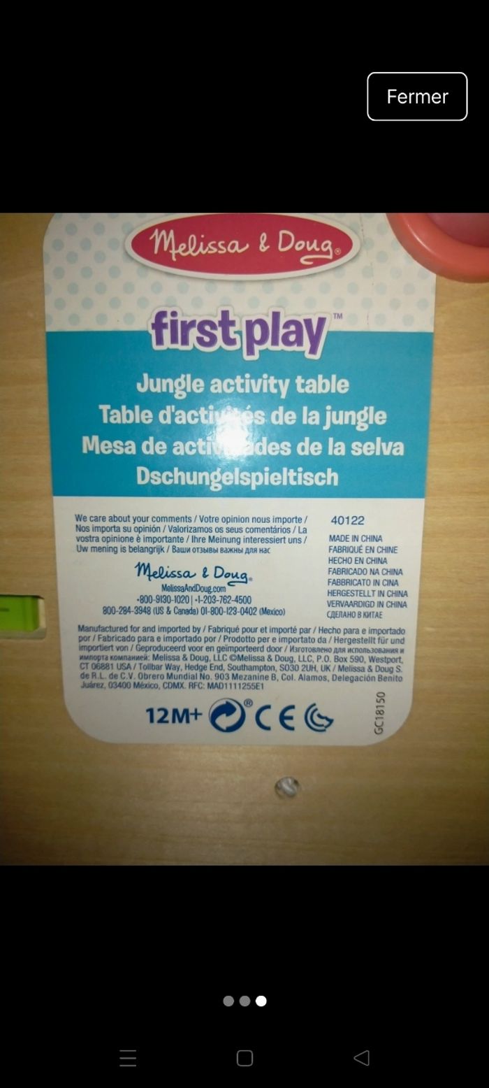 Table d'activités jungle 🐒 - photo numéro 3