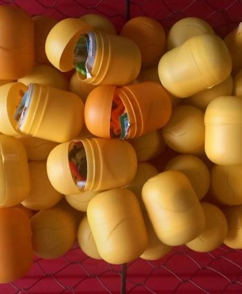 Lot de 20 kinder pour fille à monter