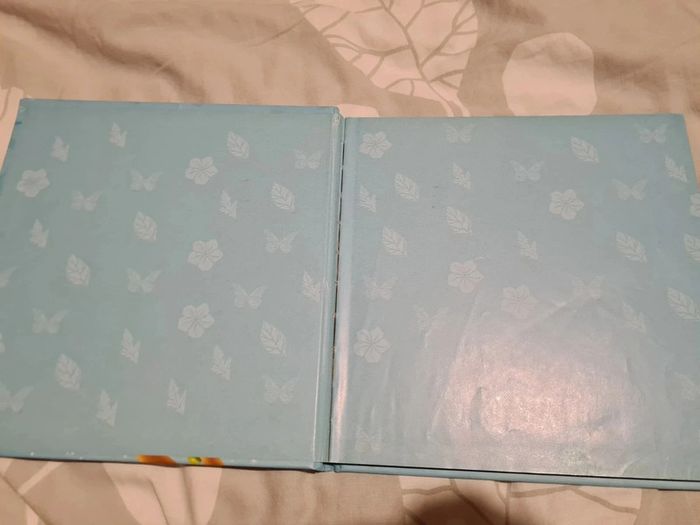 Clochette et le secret des fées (disney) - photo numéro 5