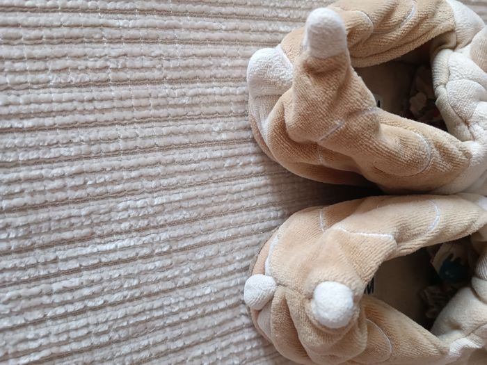 Chaussons P 30/31 - photo numéro 5