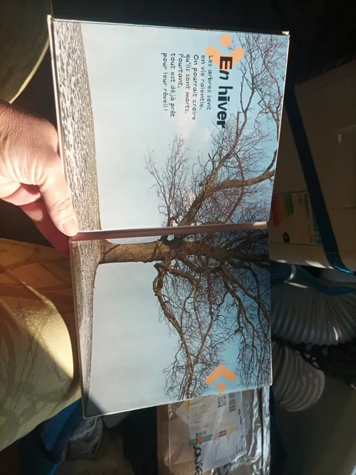 Livre enfant, les arbres de mon jardin - photo numéro 4