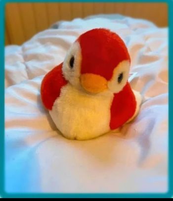 Oiseau