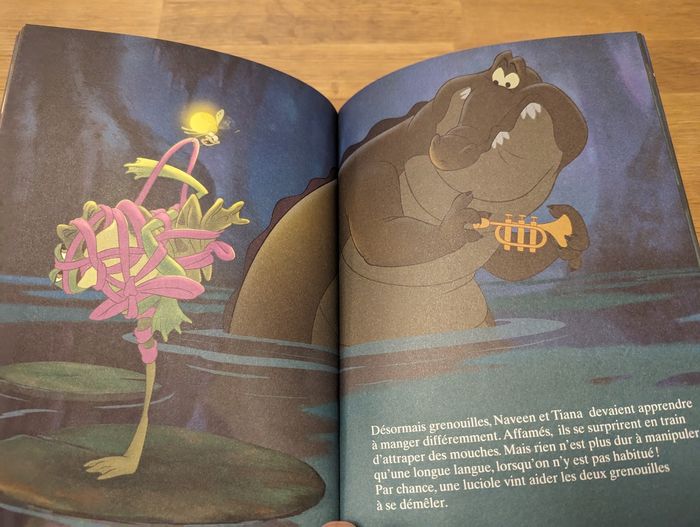 Livre La princesse et la grenouille 🐸 Disney - photo numéro 2