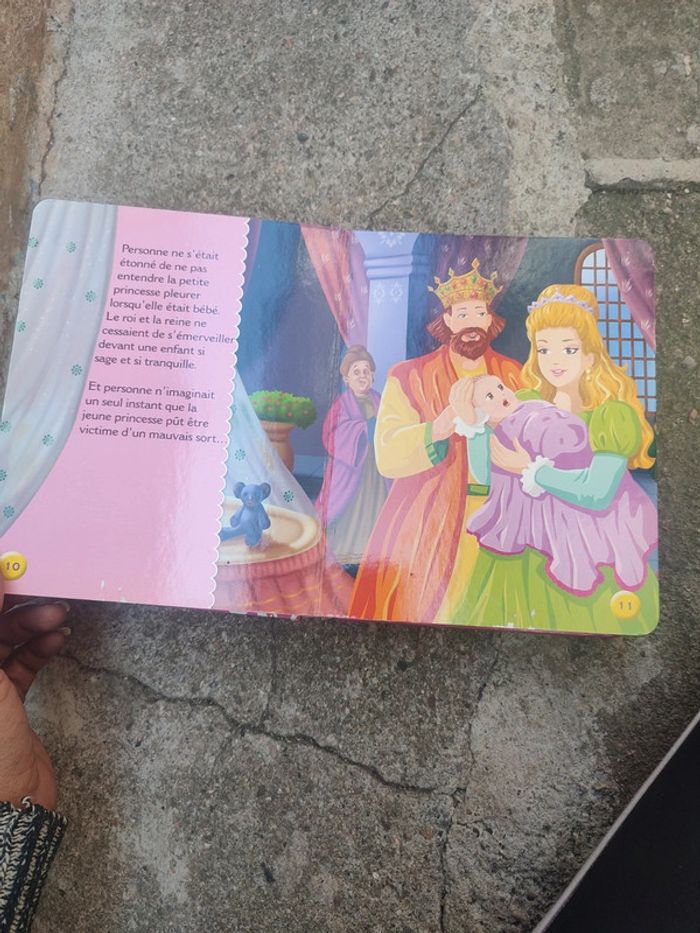 Livre le secret de la princesse - photo numéro 11