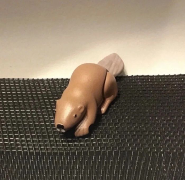 Playmobil figurine Castor Wiltopia très bon état comme neuf animaux sauvages - photo numéro 4
